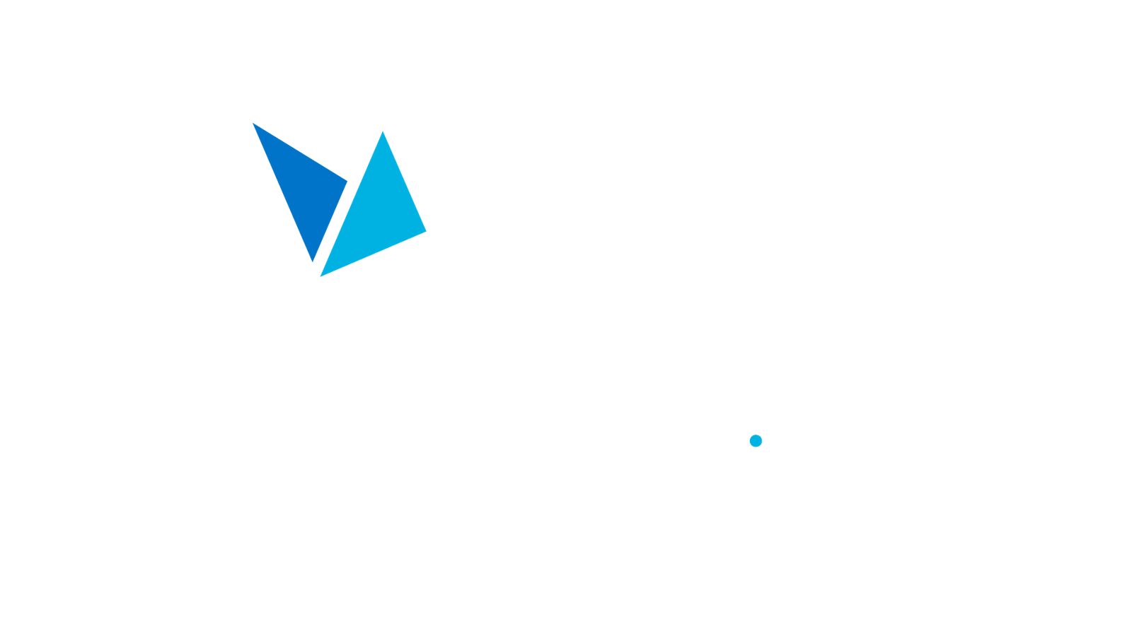 Bilişim Vadisi Technology Development Zone logosu